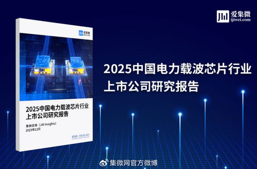 2025中國電力載波芯片行業上市公司研究報告與技術交流展望